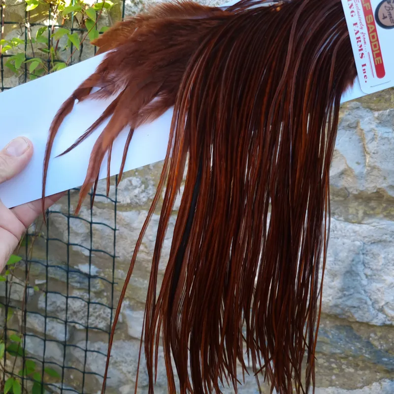 Whiting 1/2 BRONZE Grade Dry Fly Rooster Saddle in Coachman Brown-2